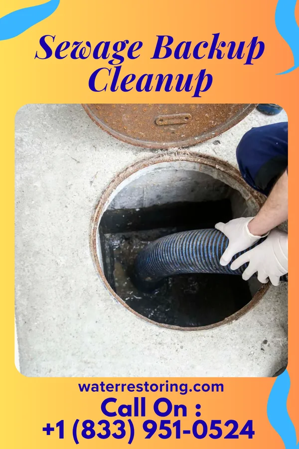 Sewage Backup Cleanup in McMinnville, TN