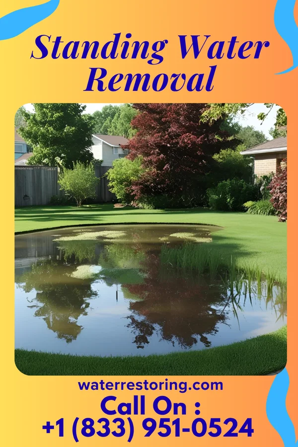 Standing Water Removal in McMinnville, TN